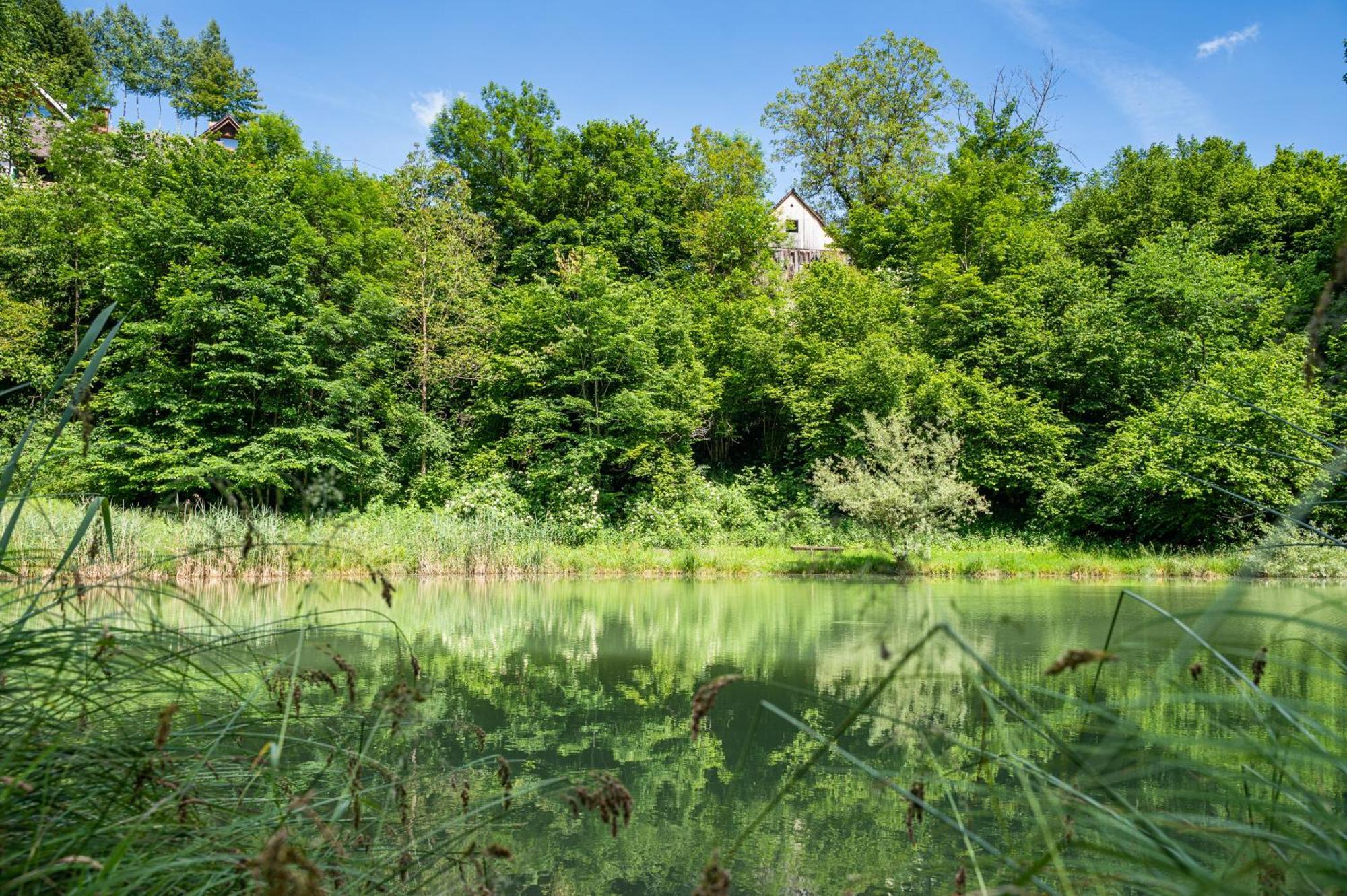 Accommodatie bij particulieren Apartma Mimi